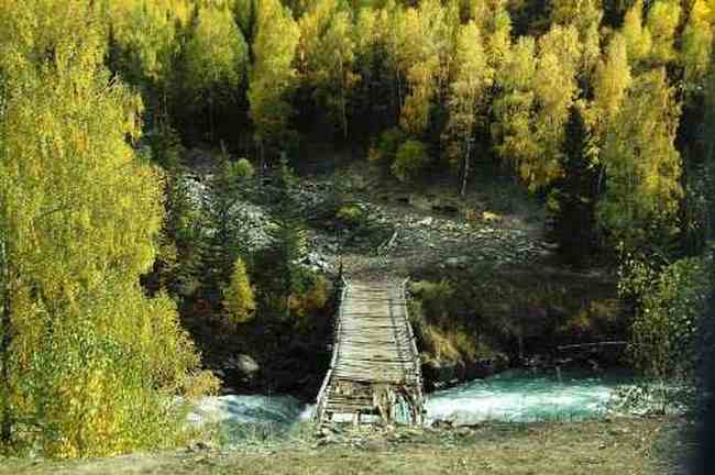 帶你進(jìn)入多彩的喀納斯,圖四