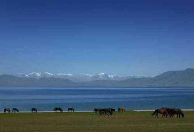 流放之地伊犁,图二