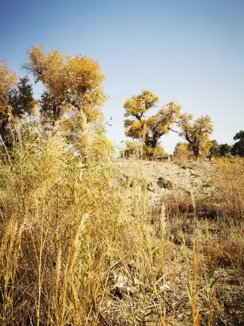 南疆大环游 库尔勒到乌鲁木齐