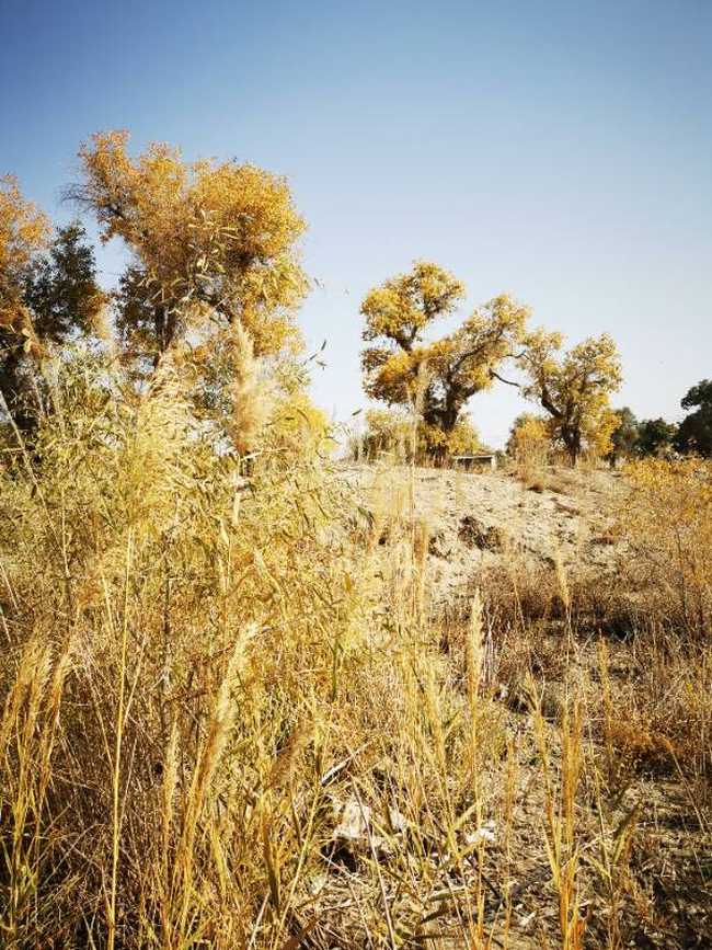 南疆大环游 库尔勒到乌鲁木齐