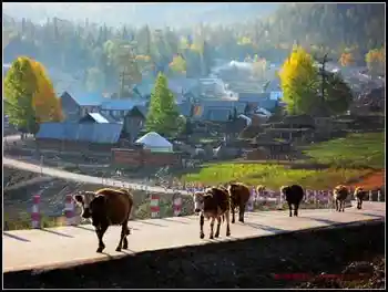 夜宿中哈边境小村——白哈巴,图十一