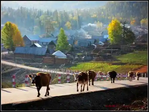 夜宿中哈边境小村——白哈巴