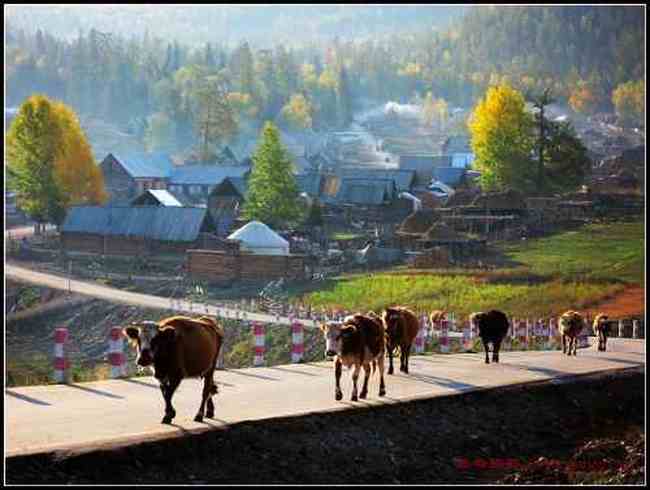 夜宿中哈边境小村——白哈巴,图十一