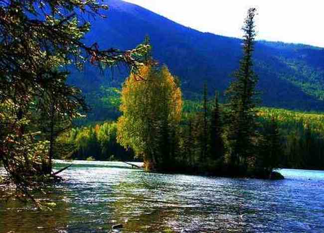 喀纳斯最靓丽的风景线,图四