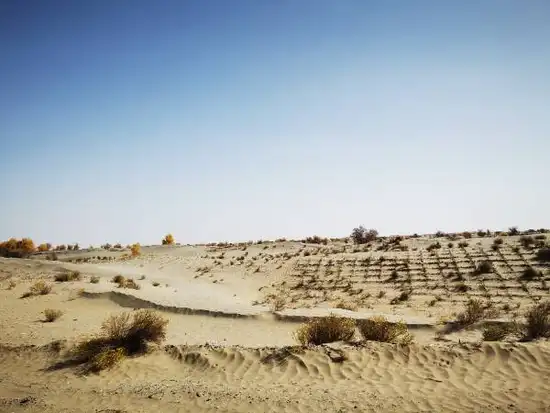 南疆大环游 和田到阿拉尔