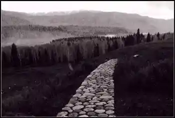 神的自留地--冷暖色的禾木,图三十