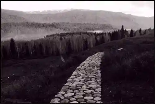 神的自留地--冷暖色的禾木