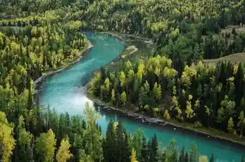 带你进入多彩的喀纳斯,图七