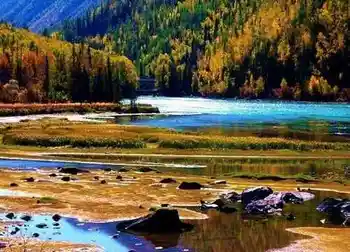 喀纳斯最美的风景线,图九