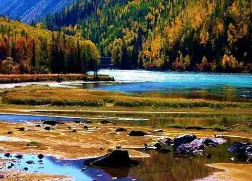 喀纳斯最美的风景线