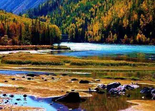 喀纳斯最美的风景线,图九