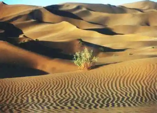 塔克拉玛干沙漠之行