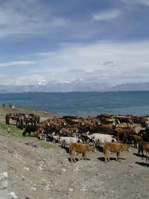 新疆是个旅游的好地方