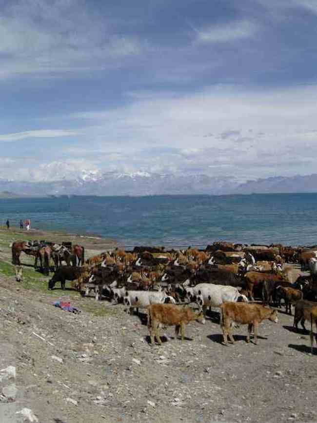 新疆是个旅游的好地方,图五