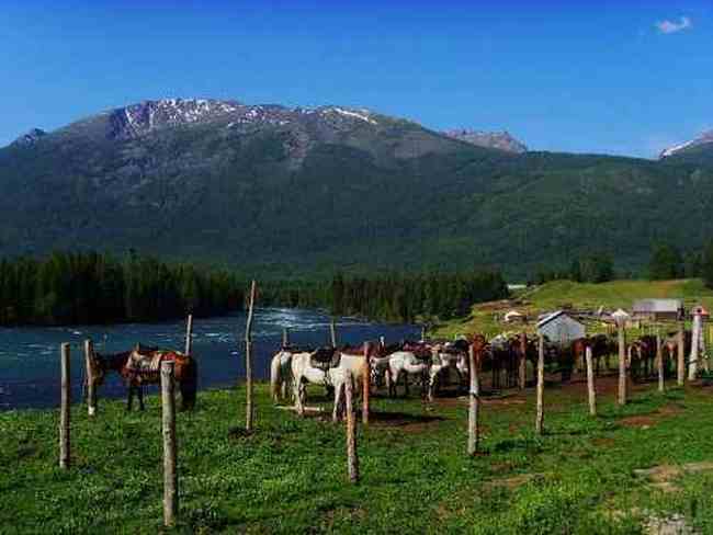 喀纳斯,遗落在人间的仙境,图十八