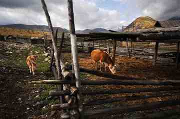 北疆仙境云雾禾木,图十六