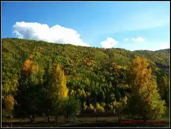 陶醉喀纳斯流连忘返——拾掇美丽,图八