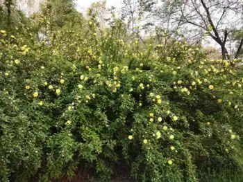 感天地始交 看万物并秀 美丽乌鲁木齐市一瞥