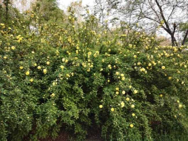 感天地始交 看万物并秀 美丽乌鲁木齐市一瞥