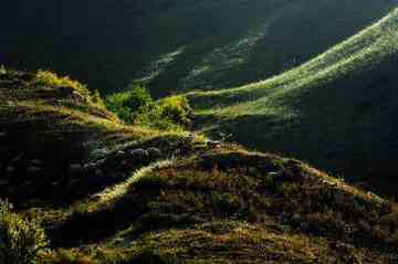 把我们逼上冰达坂,图四