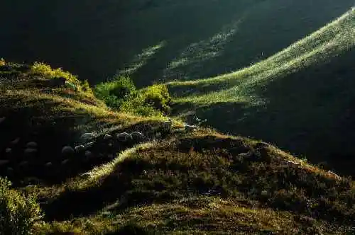 把我们逼上冰达坂