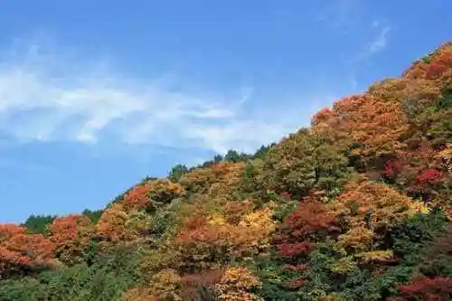 与世隔绝的喀纳斯