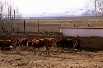 新疆自驾之旅四,图