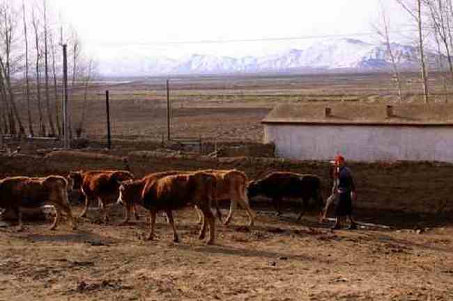 新疆自驾之旅四,图