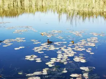 深秋看胡杨慢游库尔勒火车两日三天之莲花湖