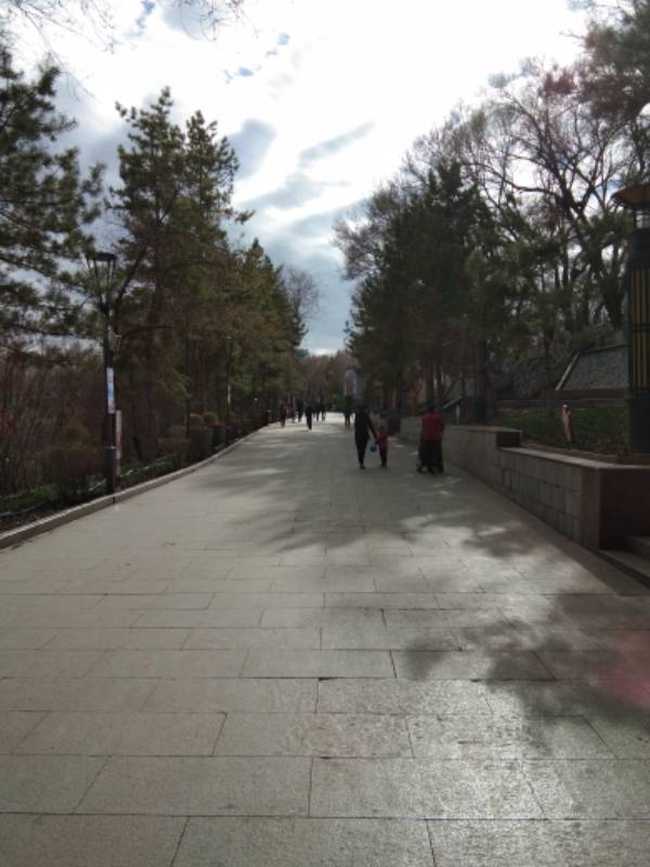 闲暇午游乌鲁木齐市红山公园