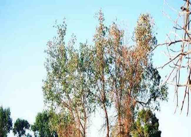 穿越塔克拉玛干 “死亡之海”中感受生命,图四