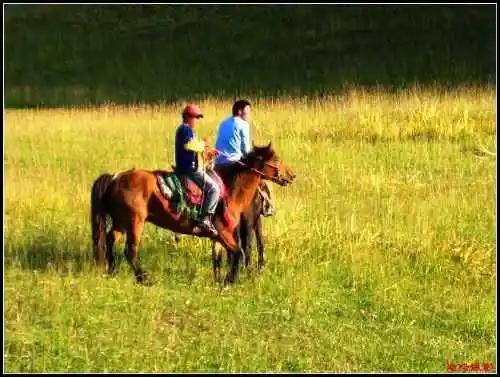 有太阳绿草的地方那拉提草原