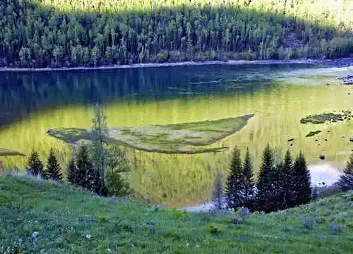 最想回忆的喀纳斯－红叶飘飞的日子