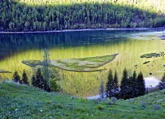 最想回忆的喀纳斯-红叶飘飞的日子,图十五