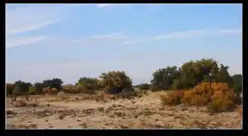 新疆之旅--喀纳斯,图五