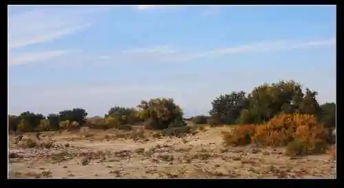 新疆之旅--喀纳斯