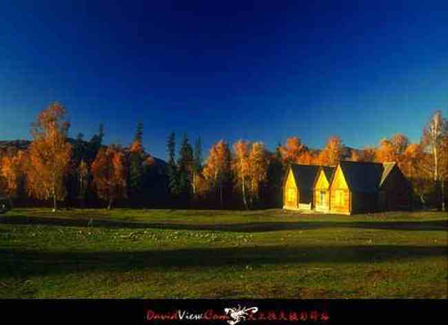 进入新疆喀纳斯,图三