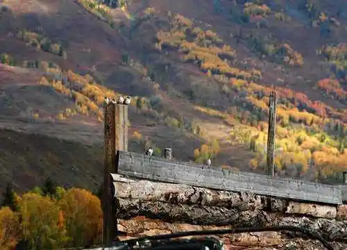 北疆梦幻般的境地