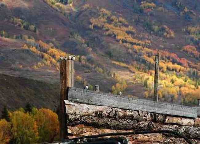 北疆梦幻般的境地,图十七