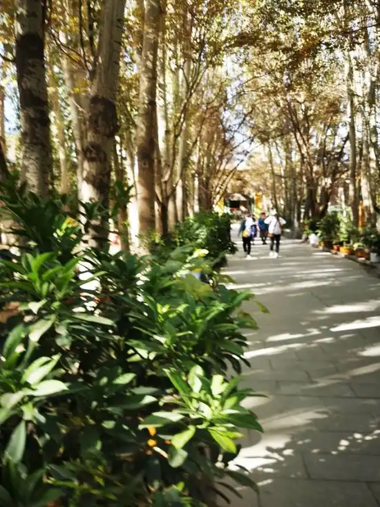 喀什艾提尕尔清真寺