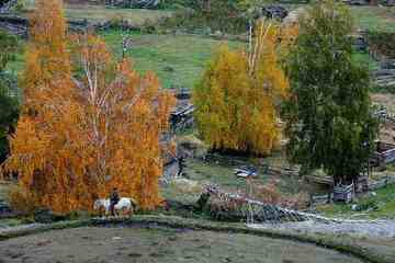 白哈巴西边的太阳落山岗,图十八