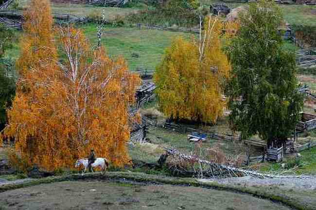 白哈巴西边的太阳落山岗,图十八