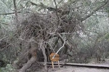 新疆南疆六日游续(六）,图十