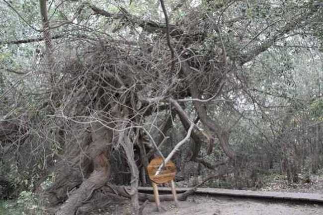 新疆南疆六日游续(六),图十