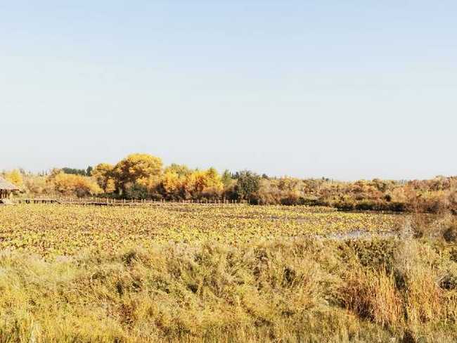 南疆大环游 喀什到和田