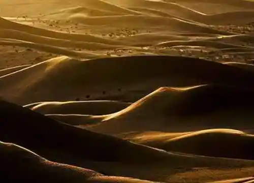 无边南疆大漠游