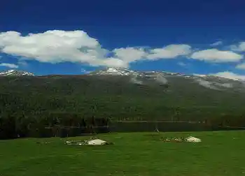 喀纳斯最靓丽的风景线,图二十