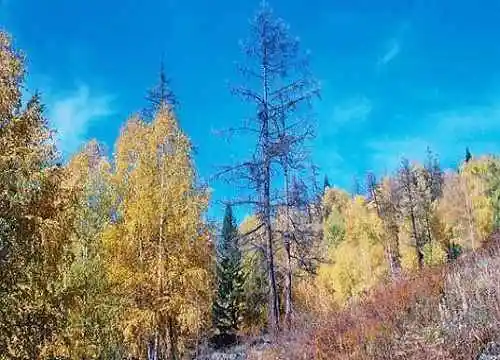 最接近仙境的地方