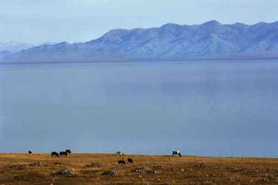 北疆赛里木湖,图十九