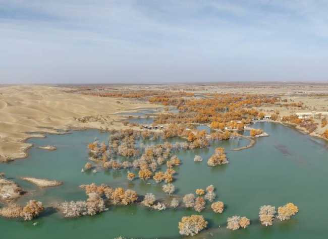 庫爾勒到尉犁第三天